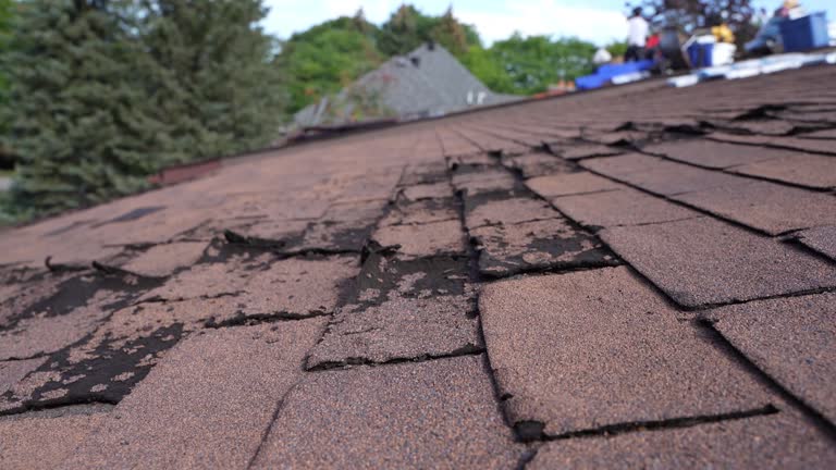 Best Roofing for New Construction  in Lake Elsinore, CA