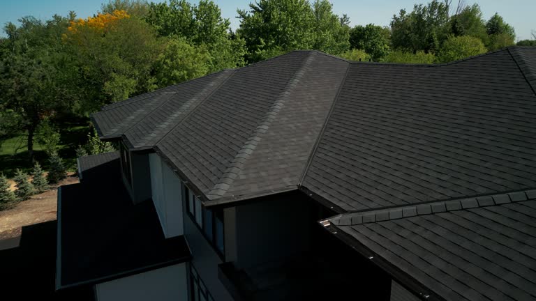 Best Sheet Metal Roofing  in Lake Elsinore, CA