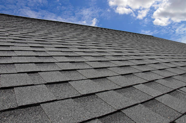 Best Roof Maintenance and Cleaning  in Lake Elsinore, CA
