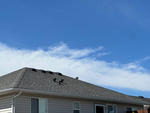 Best Emergency Roof Repair Services  in Lake Elsinore, CA